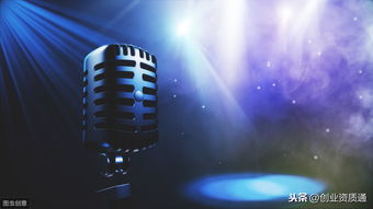 音樂類網(wǎng)絡(luò)文化經(jīng)營(yíng)許可證審批機(jī)構(gòu)及互聯(lián)網(wǎng)信息咨詢服務(wù)